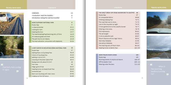 Travels/Troubles With Koos PDF - Image 2