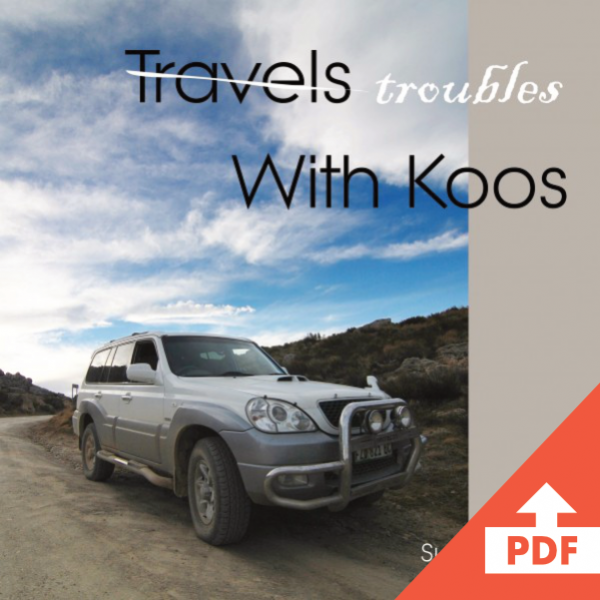 travel book